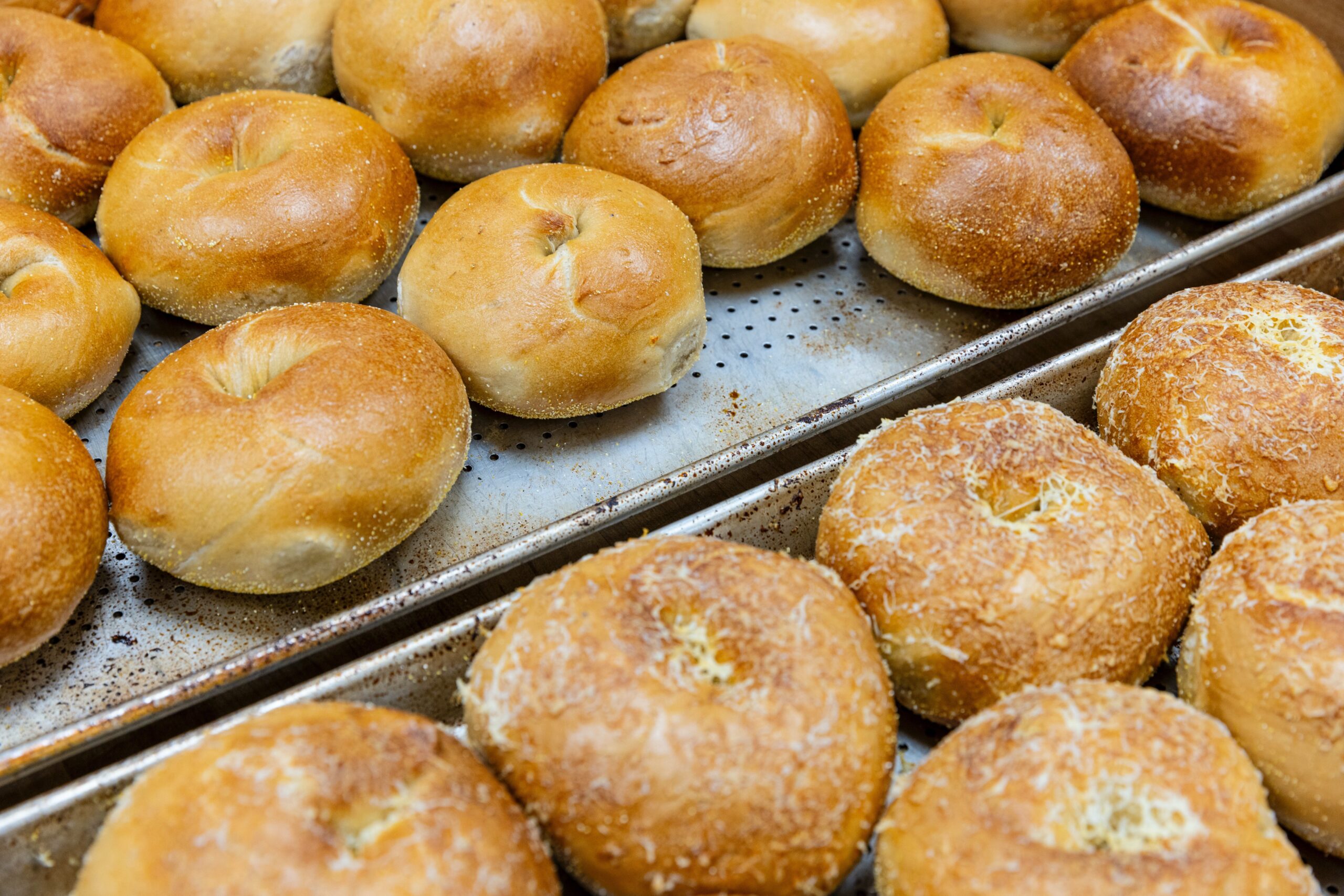 Half Dozen Bagels
